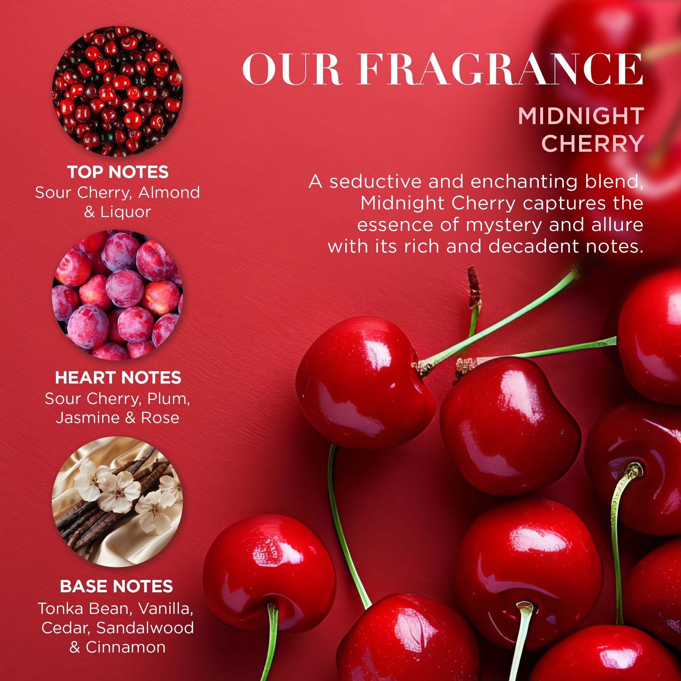 BAYLIS & HARDING Midnight Cherry Indulgent Body Pamper Duo Gift Set