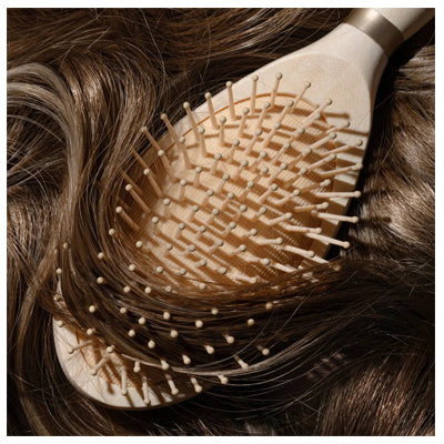 ECOTOOLS Shine Activating Detangler
